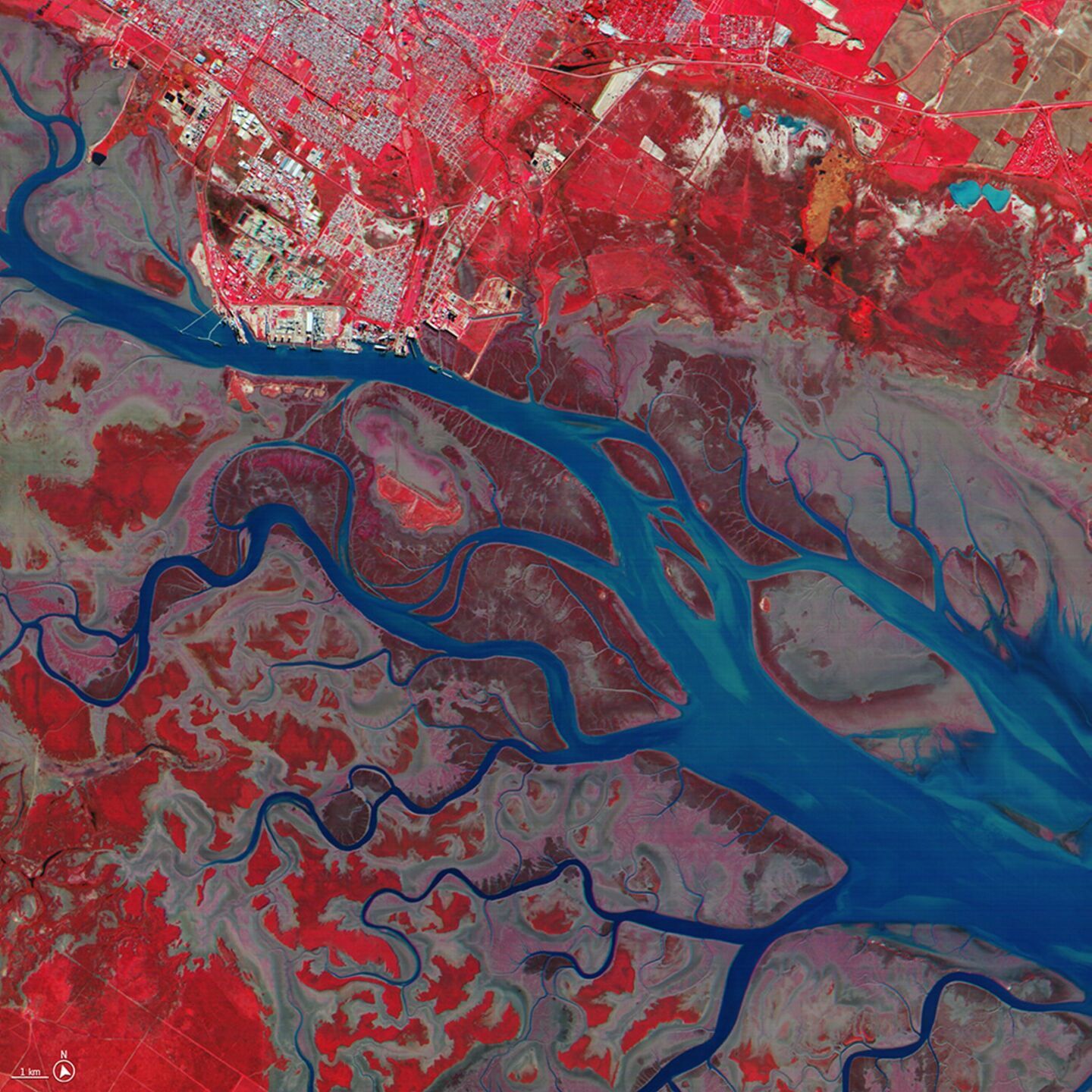 Incredible first images from shoebox-sized AI satellite show Earth as art